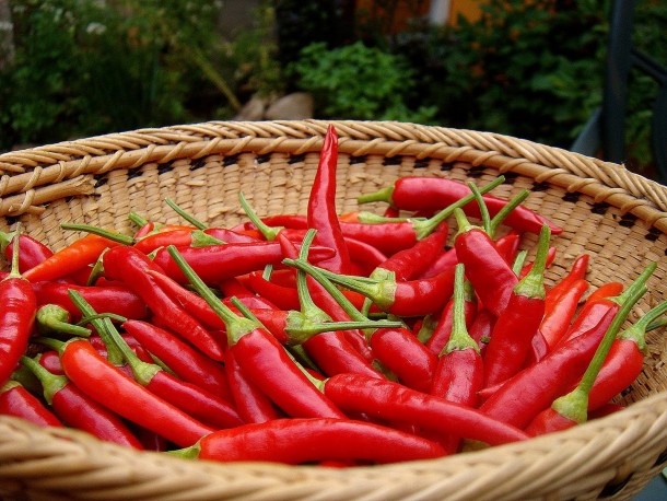 12 alimentos que melhoram a vida sexual da mulher.