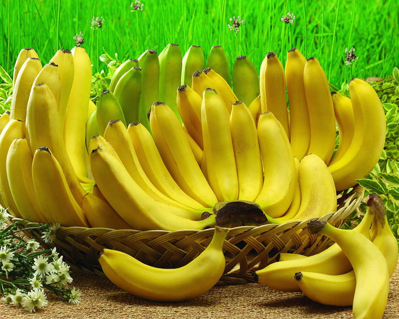 Banana previne cãibras. Mito ou verdade?