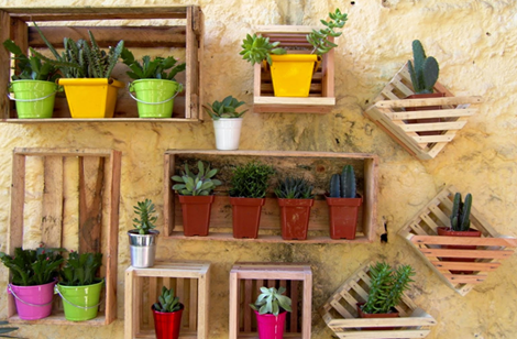 Tenha sua própria mini horta!